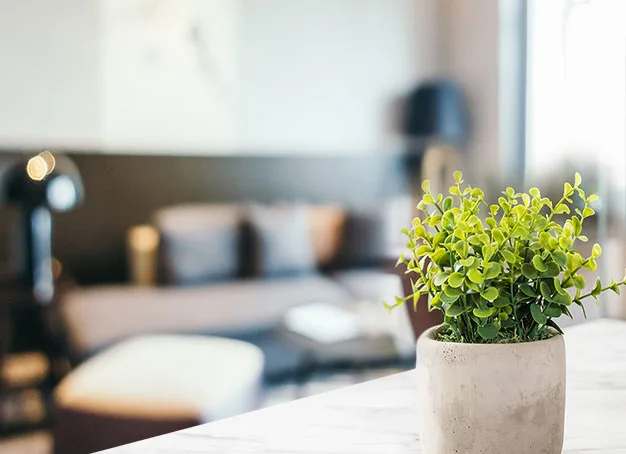 Enhance the look of your property
